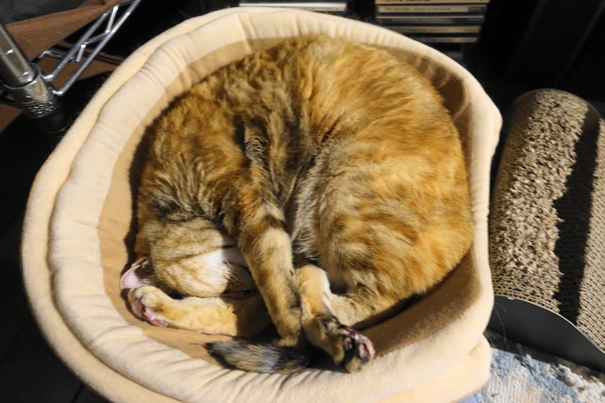 f:id:shigeo-t:20190523101644j:plain