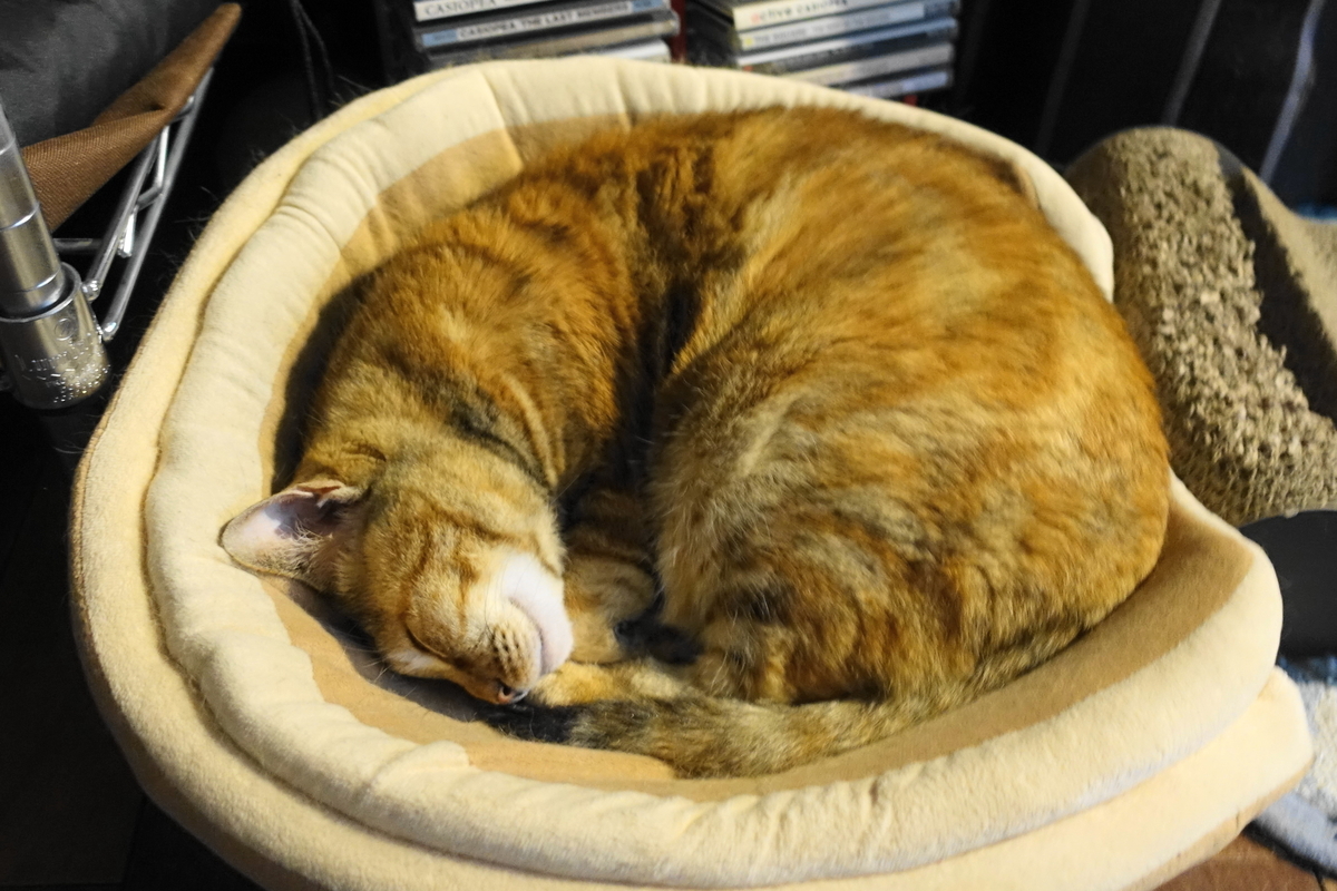 f:id:shigeo-t:20190523101722j:plain