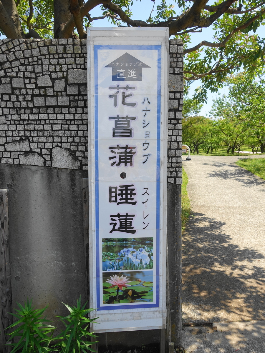 f:id:shigeo-t:20190530143706j:plain f:id:shigeo-t:20190530143706j:plain
