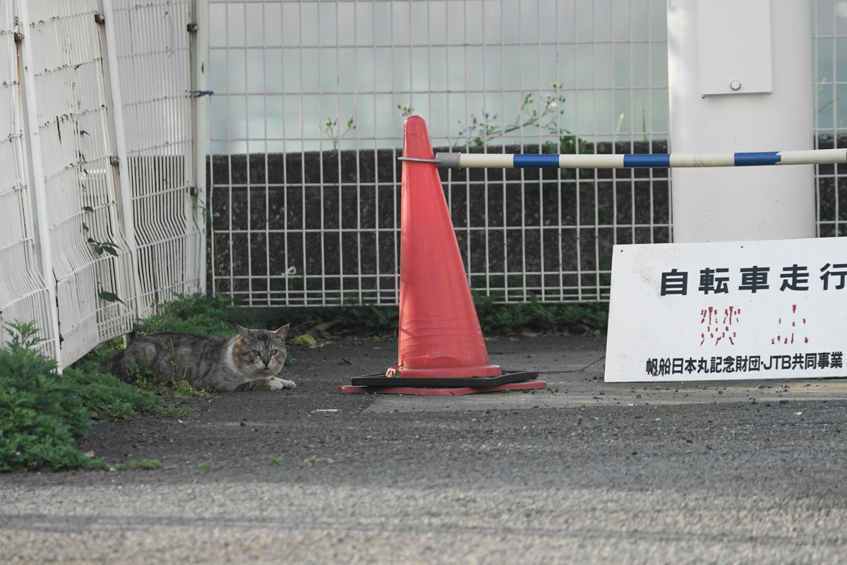 f:id:shigeo-t:20190604093929j:plain f:id:shigeo-t:20190604093929j:plain