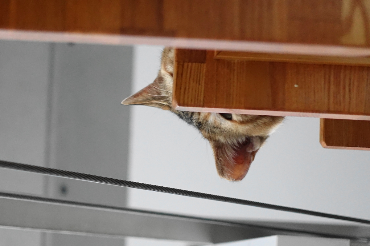 f:id:shigeo-t:20190610093507j:plain