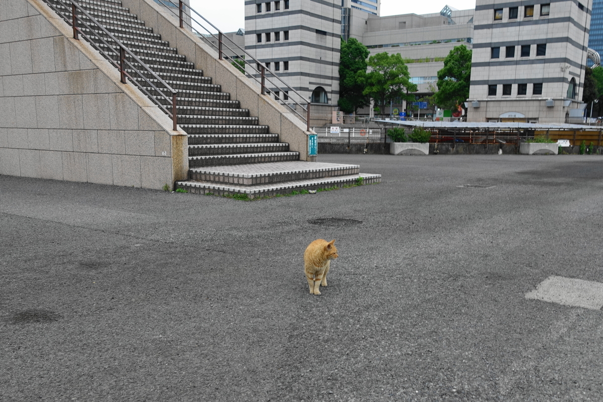 f:id:shigeo-t:20190612090832j:plain f:id:shigeo-t:20190612090832j:plain