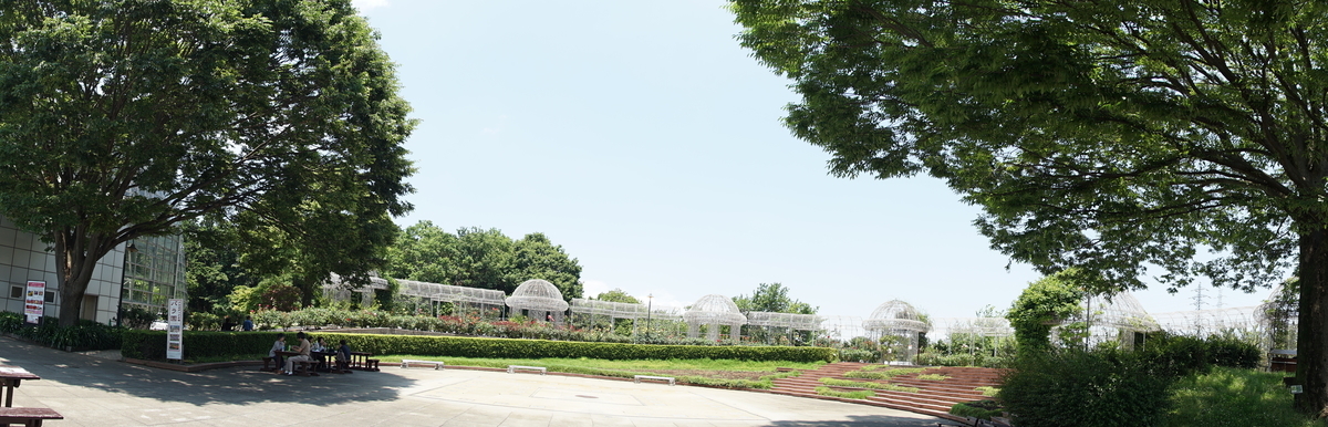 f:id:shigeo-t:20190613143744j:plain f:id:shigeo-t:20190613143744j:plain