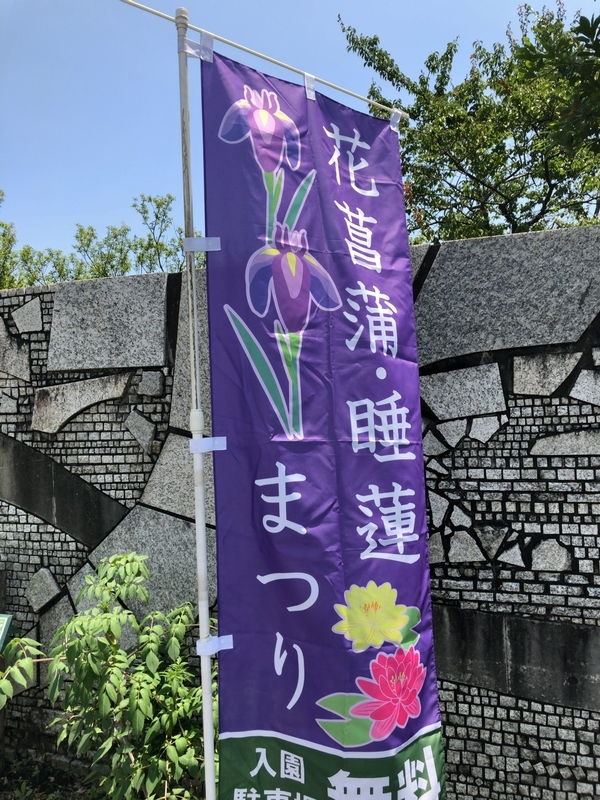 f:id:shigeo-t:20190613153427j:plain f:id:shigeo-t:20190613153427j:plain
