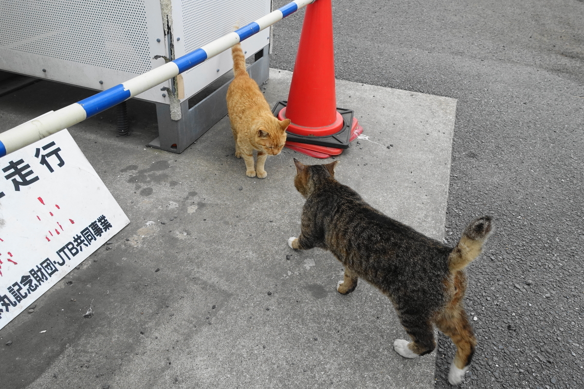 f:id:shigeo-t:20190615091924j:plain