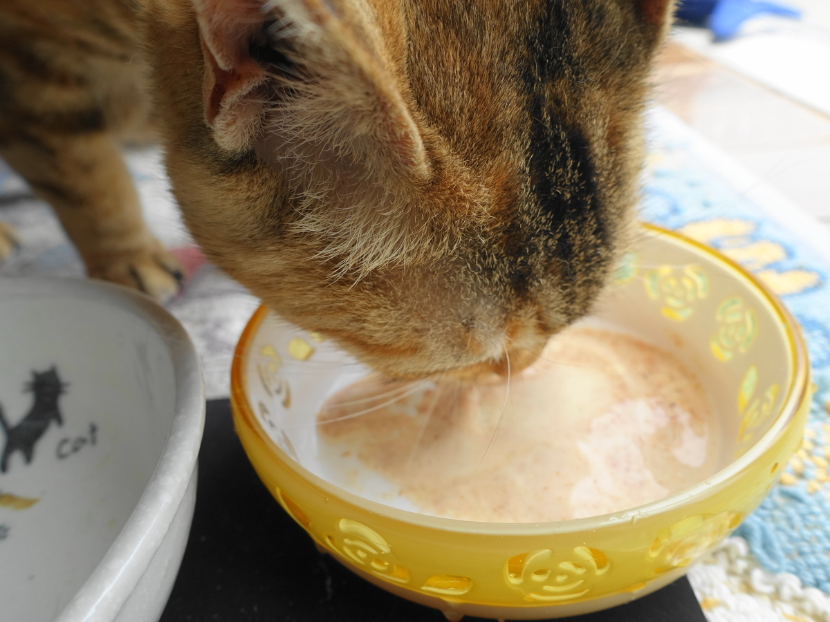 f:id:shigeo-t:20190620092257j:plain