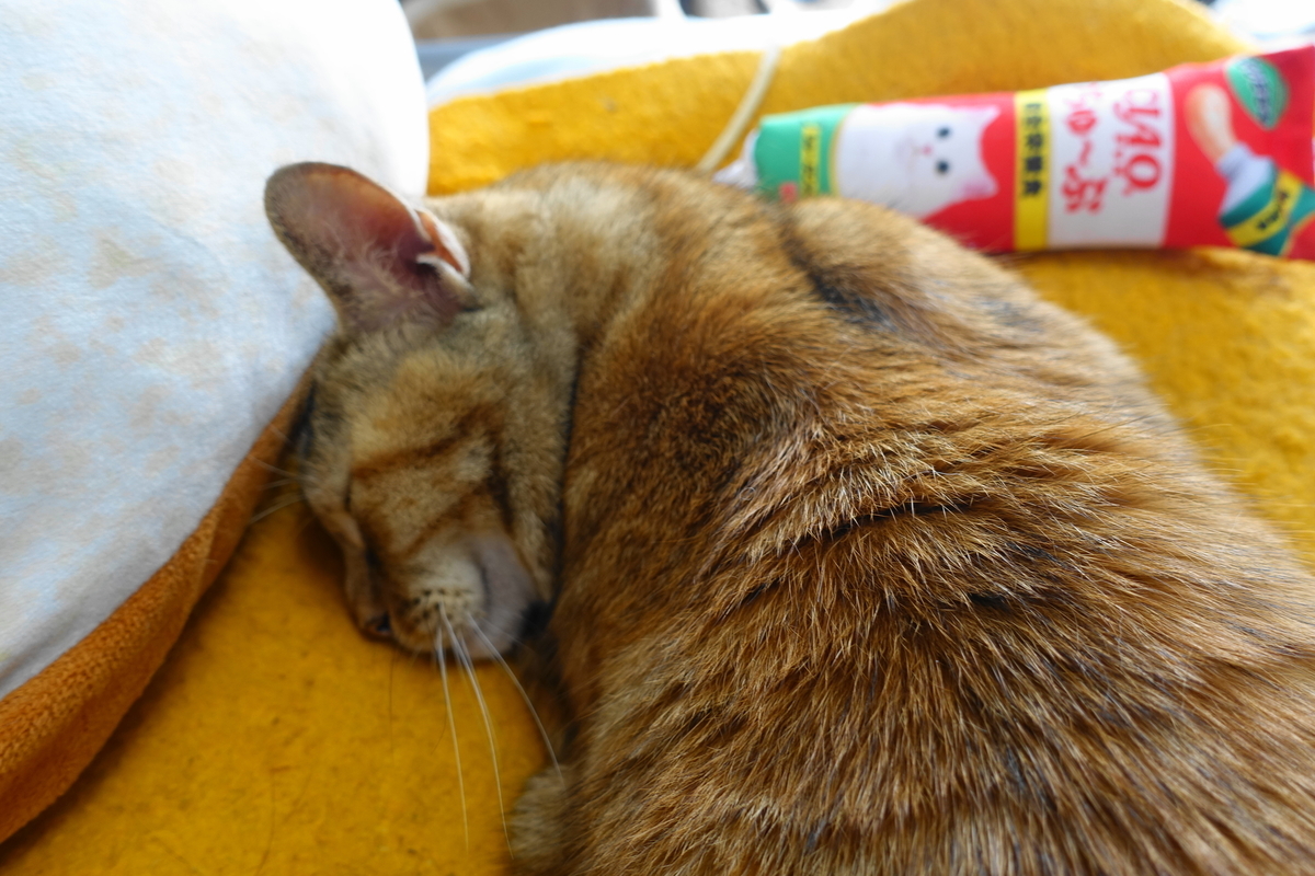 f:id:shigeo-t:20190620092607j:plain