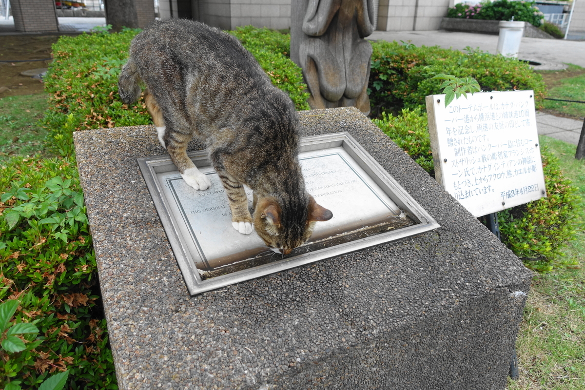 f:id:shigeo-t:20190627104705j:plain f:id:shigeo-t:20190627104705j:plain