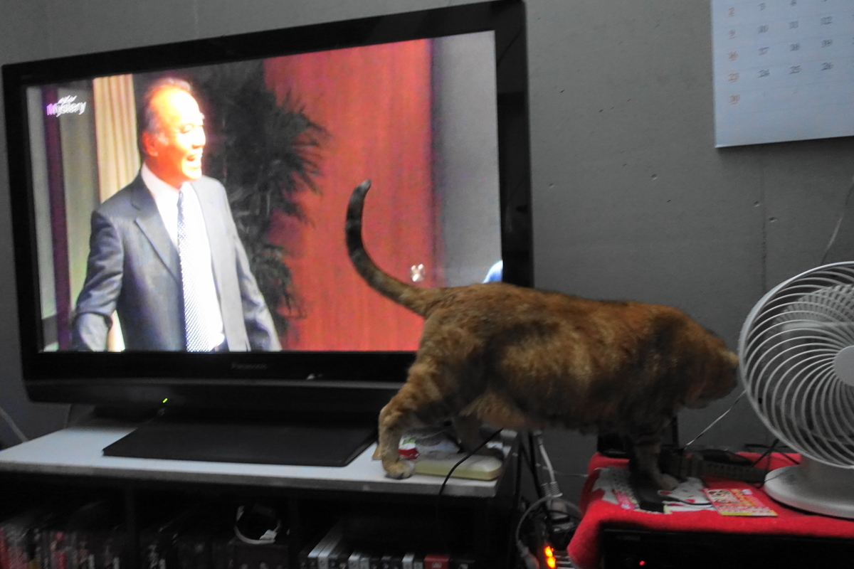 f:id:shigeo-t:20190703094737j:plain