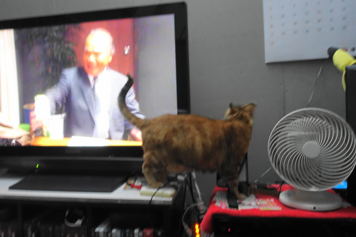 f:id:shigeo-t:20190703094754j:plain