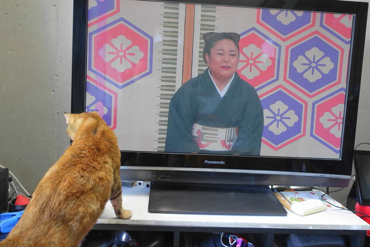 f:id:shigeo-t:20190703101430j:plain