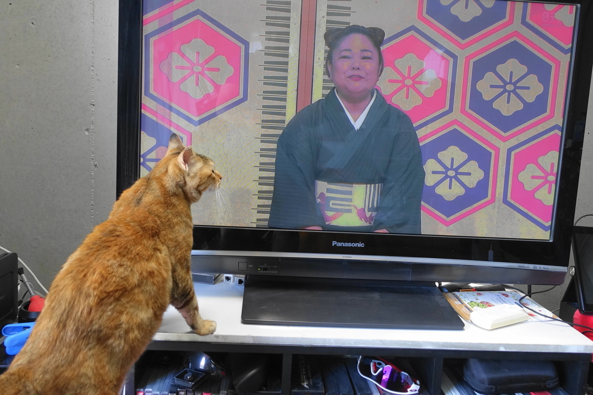 f:id:shigeo-t:20190703101451j:plain