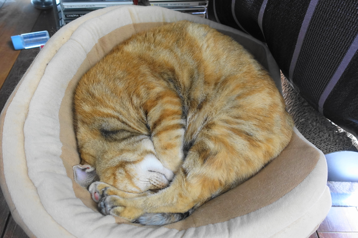 f:id:shigeo-t:20190703101547j:plain