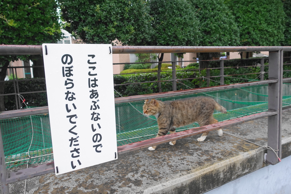 f:id:shigeo-t:20190707103420j:plain