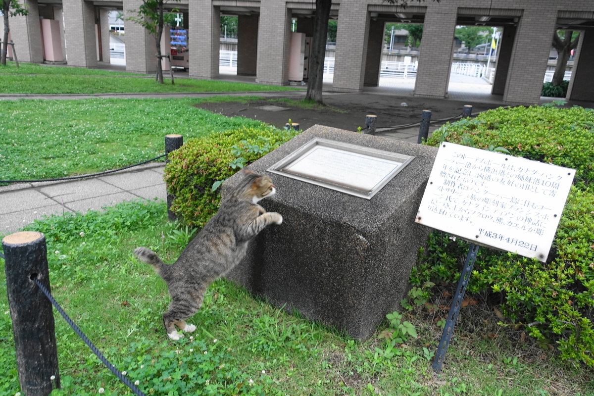 f:id:shigeo-t:20190712083131j:plain f:id:shigeo-t:20190712083131j:plain