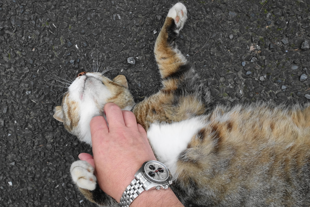 f:id:shigeo-t:20190712085651j:plain f:id:shigeo-t:20190712085651j:plain