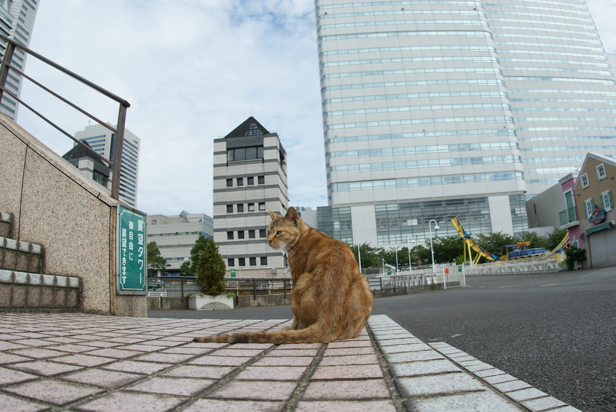 f:id:shigeo-t:20190714091929j:plain f:id:shigeo-t:20190714091929j:plain
