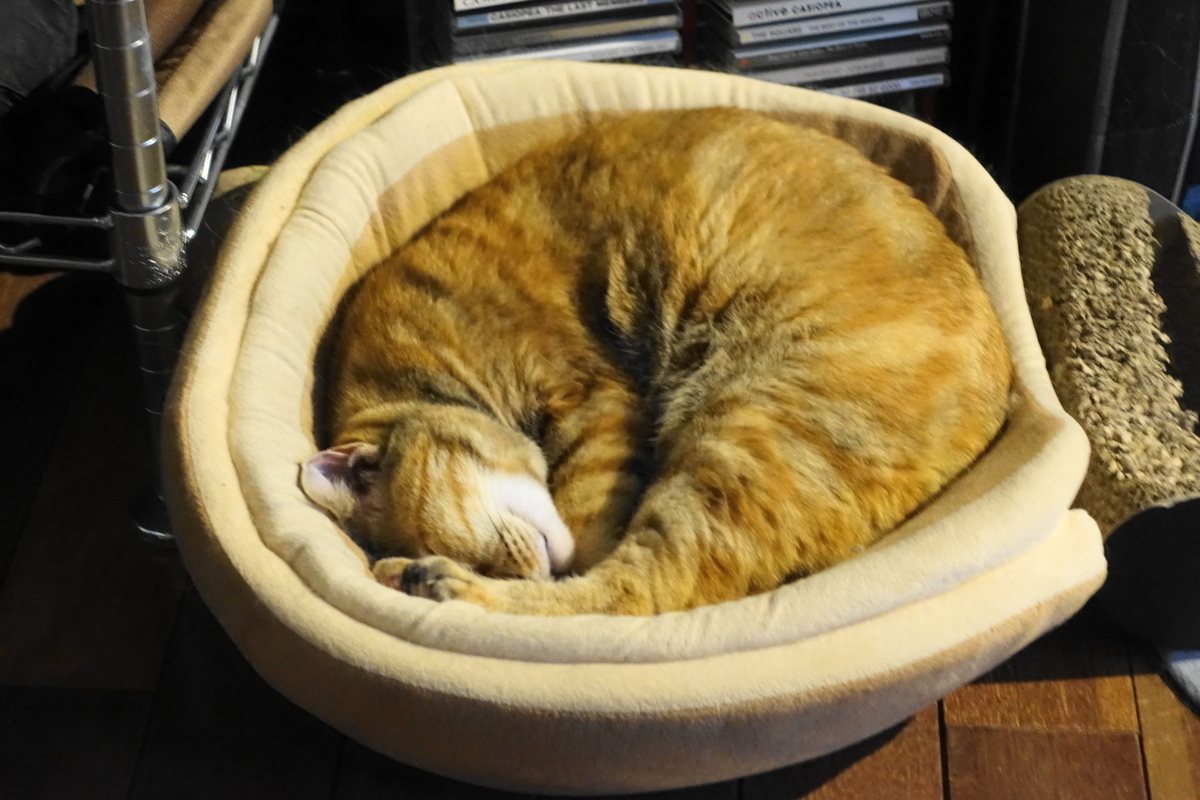 f:id:shigeo-t:20190718102905j:plain f:id:shigeo-t:20190718102905j:plain