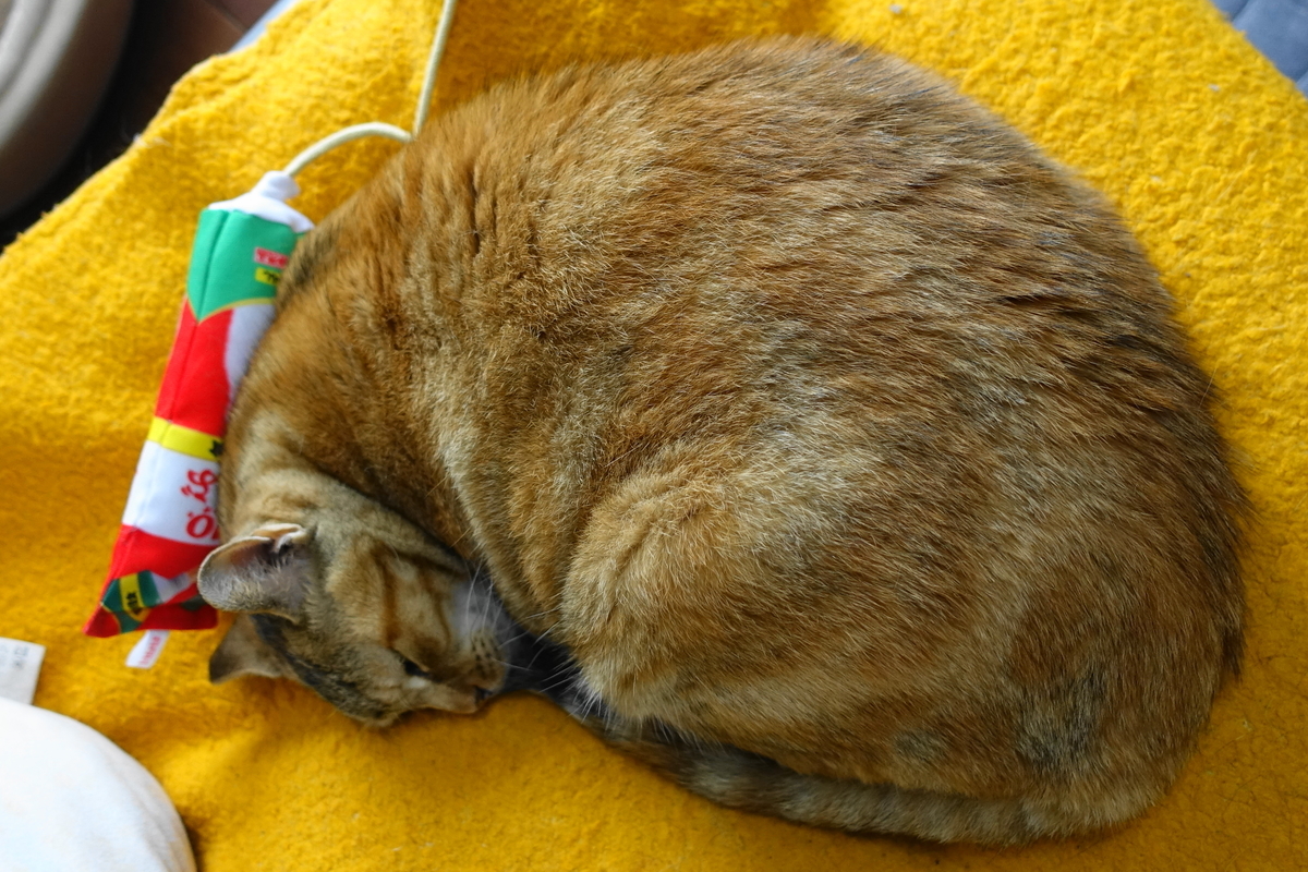 f:id:shigeo-t:20190718103019j:plain f:id:shigeo-t:20190718103019j:plain