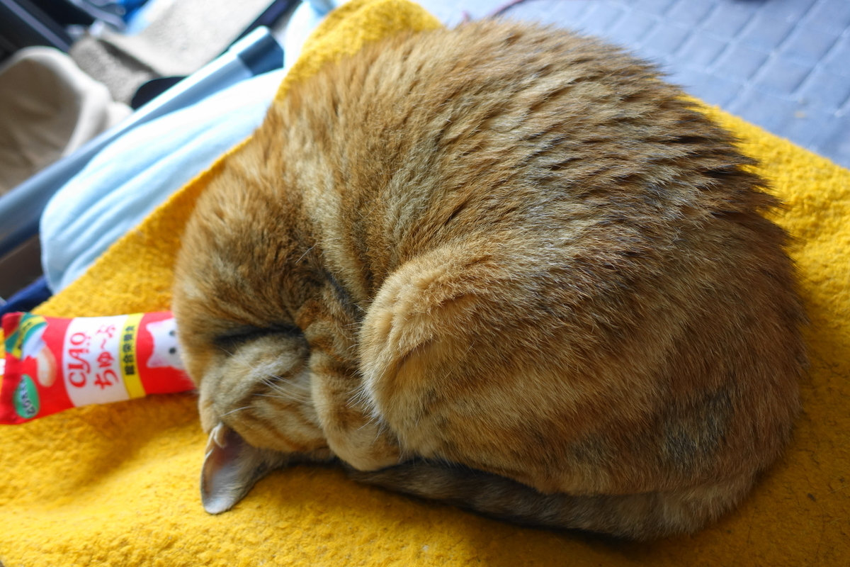 f:id:shigeo-t:20190718103127j:plain f:id:shigeo-t:20190718103127j:plain