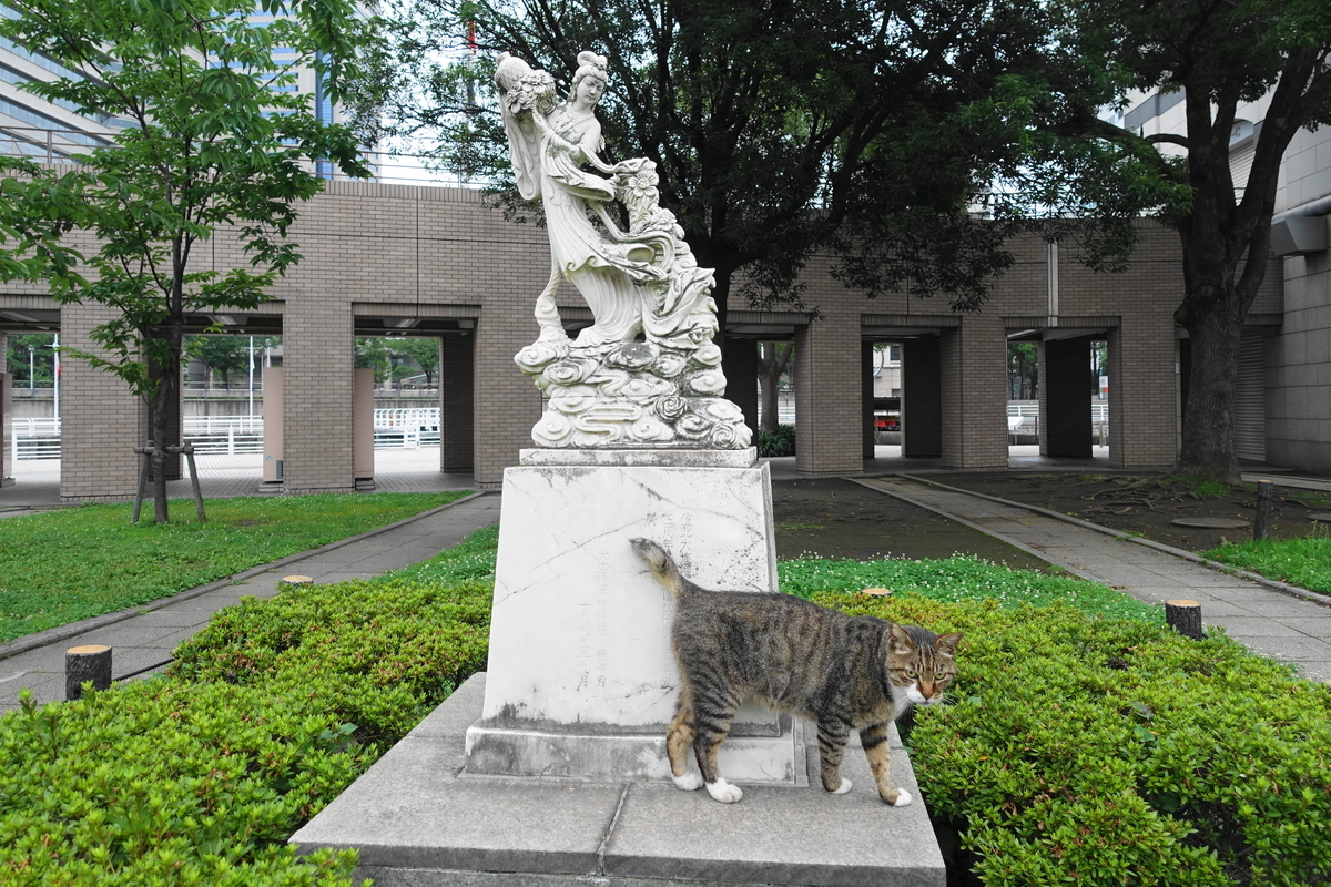 f:id:shigeo-t:20190728095223j:plain f:id:shigeo-t:20190728095223j:plain