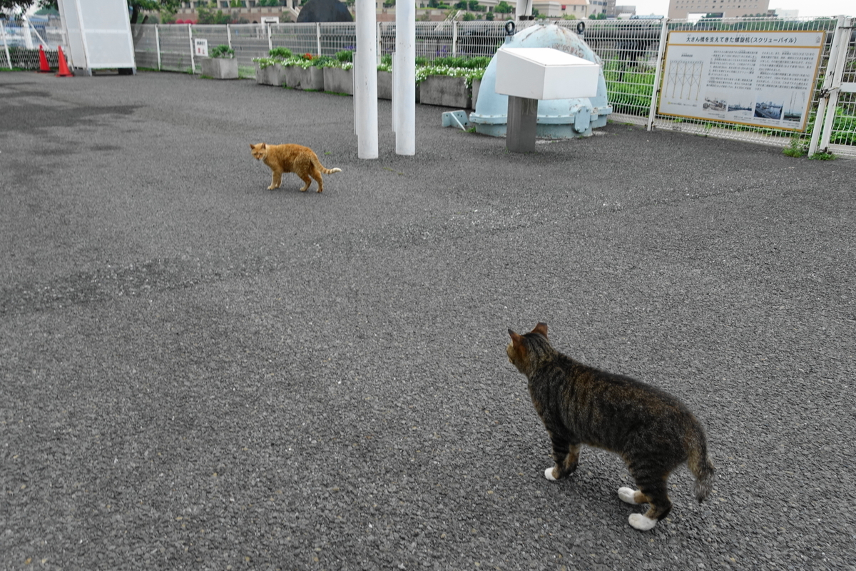 f:id:shigeo-t:20190728095253j:plain f:id:shigeo-t:20190728095253j:plain