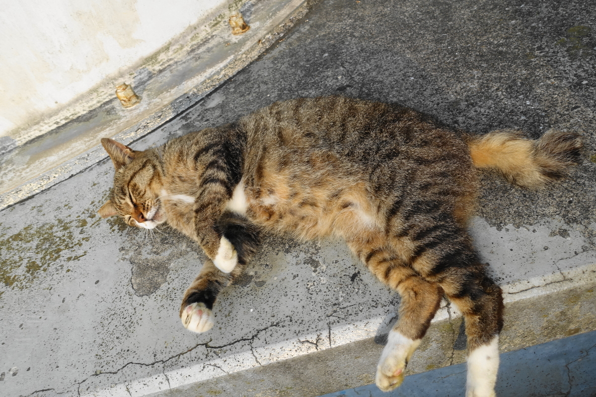 f:id:shigeo-t:20190731150928j:plain