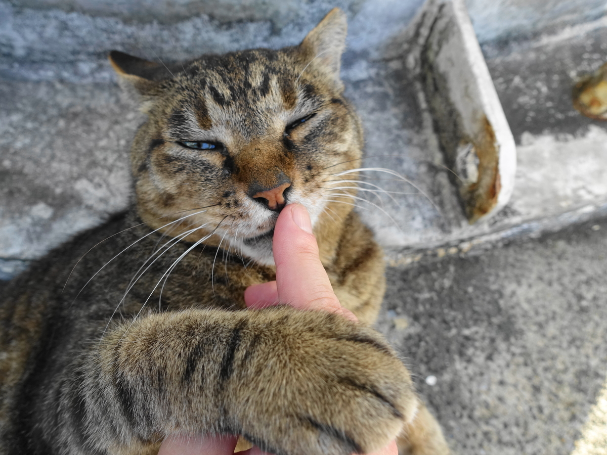f:id:shigeo-t:20190731151817j:plain