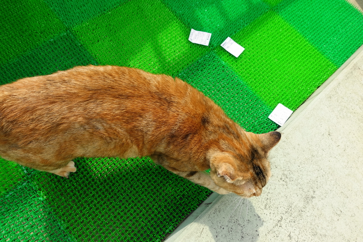 f:id:shigeo-t:20190807101100j:plain