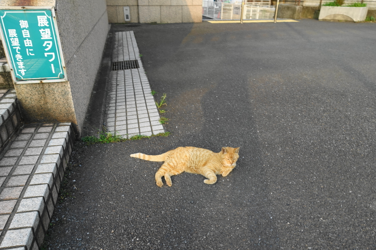 f:id:shigeo-t:20190809095906j:plain f:id:shigeo-t:20190809095906j:plain