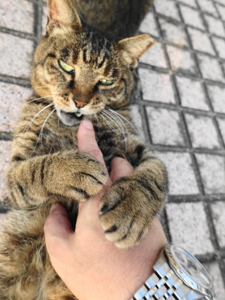 f:id:shigeo-t:20190809100137j:plain f:id:shigeo-t:20190809100137j:plain
