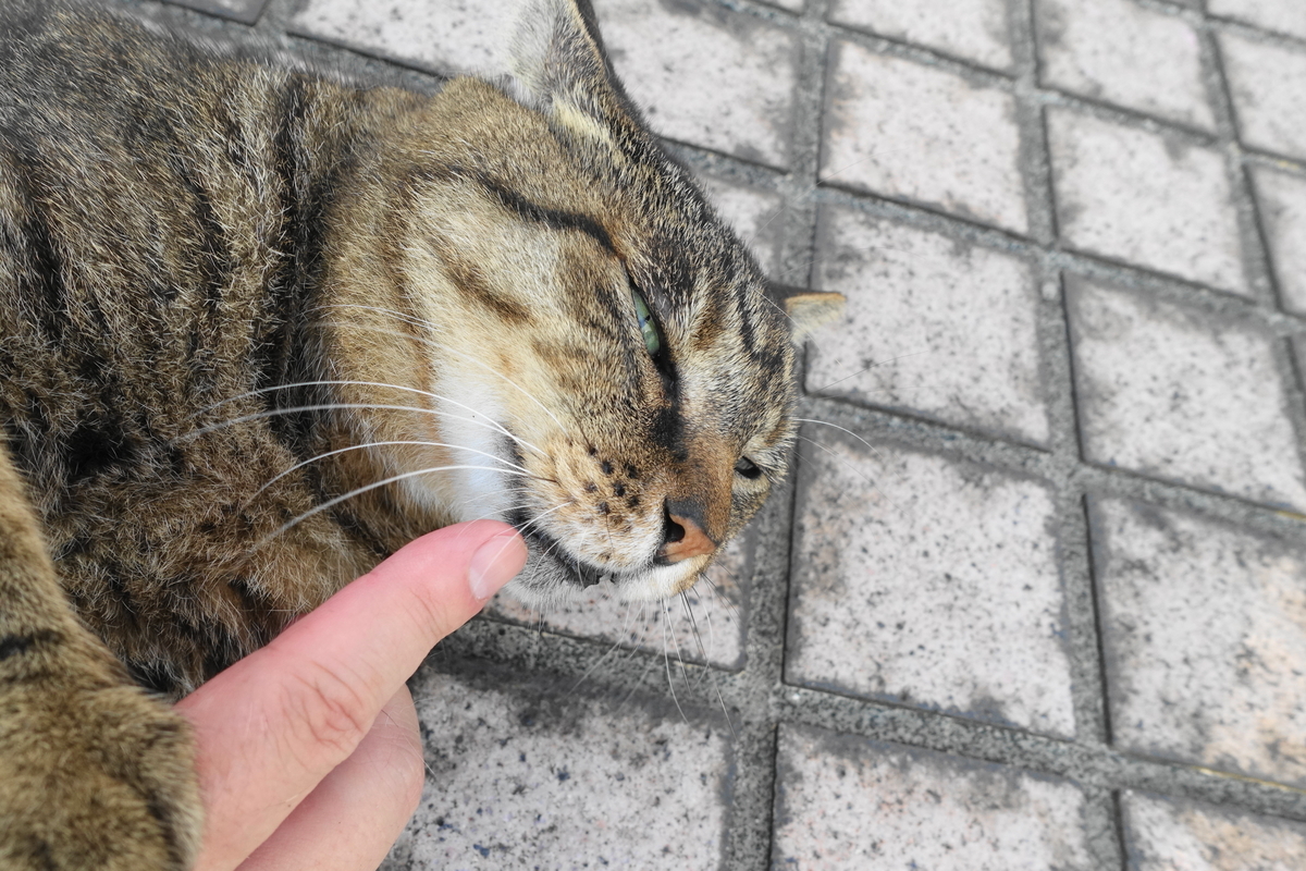 f:id:shigeo-t:20190809101145j:plain f:id:shigeo-t:20190809101145j:plain