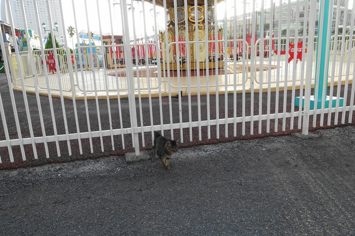 f:id:shigeo-t:20190817093058j:plain f:id:shigeo-t:20190817093058j:plain