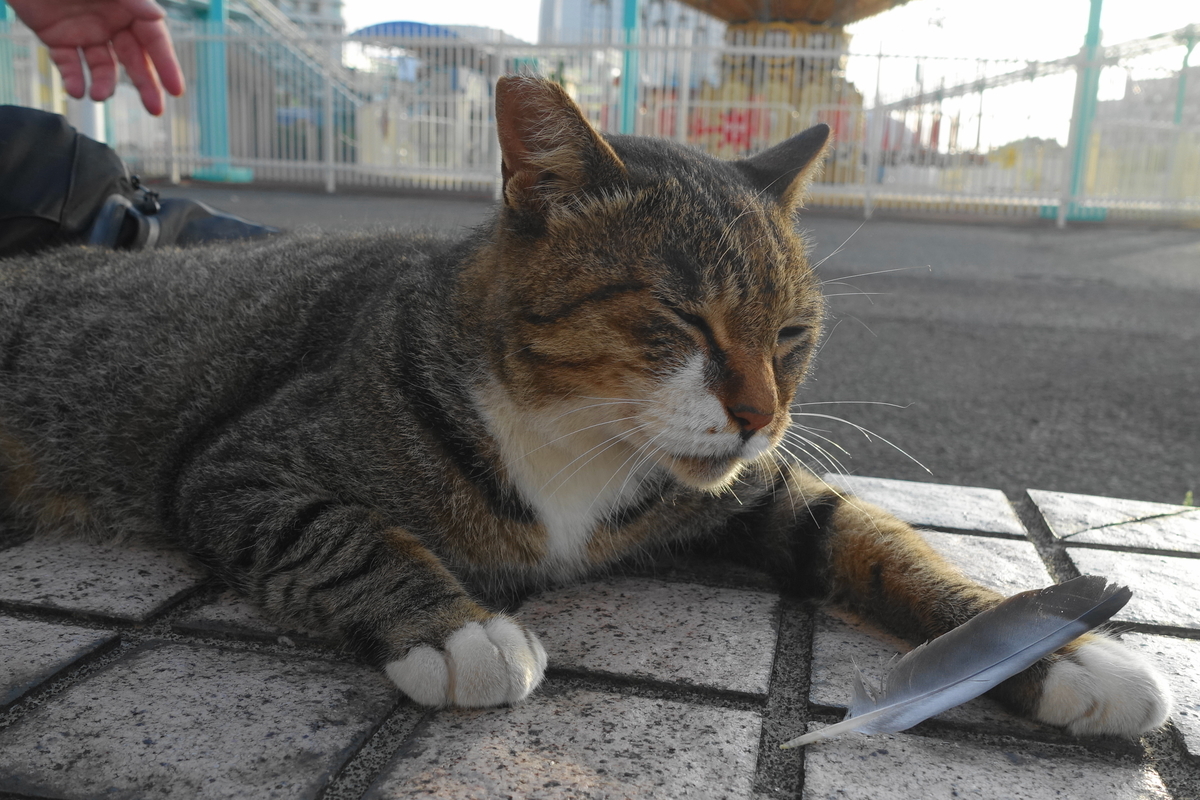 f:id:shigeo-t:20190817093205j:plain f:id:shigeo-t:20190817093205j:plain