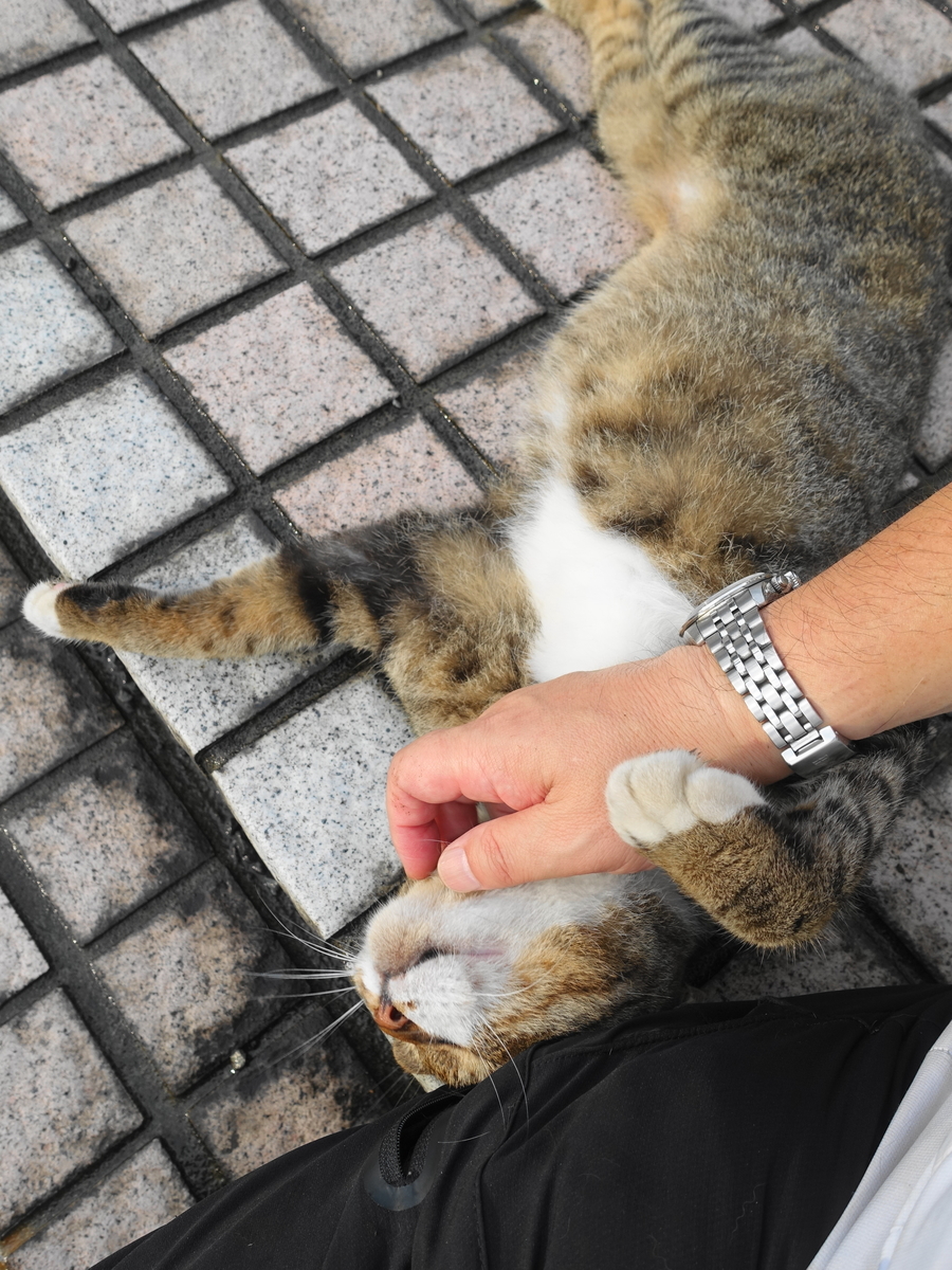 f:id:shigeo-t:20190817094048j:plain f:id:shigeo-t:20190817094048j:plain