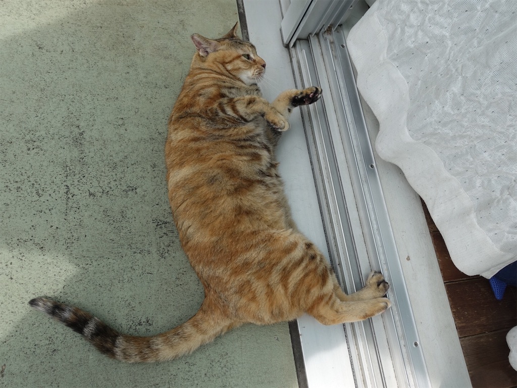 f:id:shigeo-t:20190824121123j:image