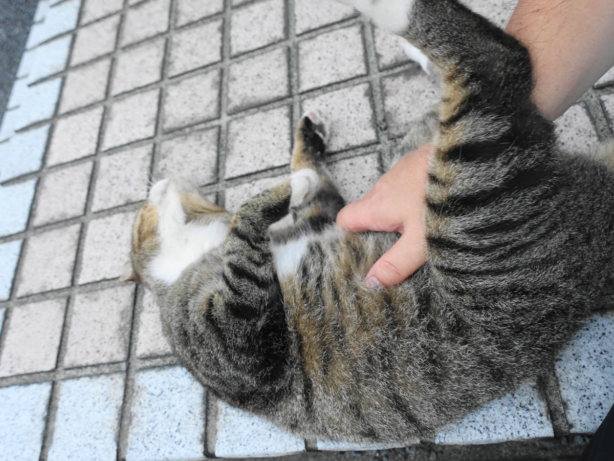 f:id:shigeo-t:20190826095607j:plain f:id:shigeo-t:20190826095607j:plain