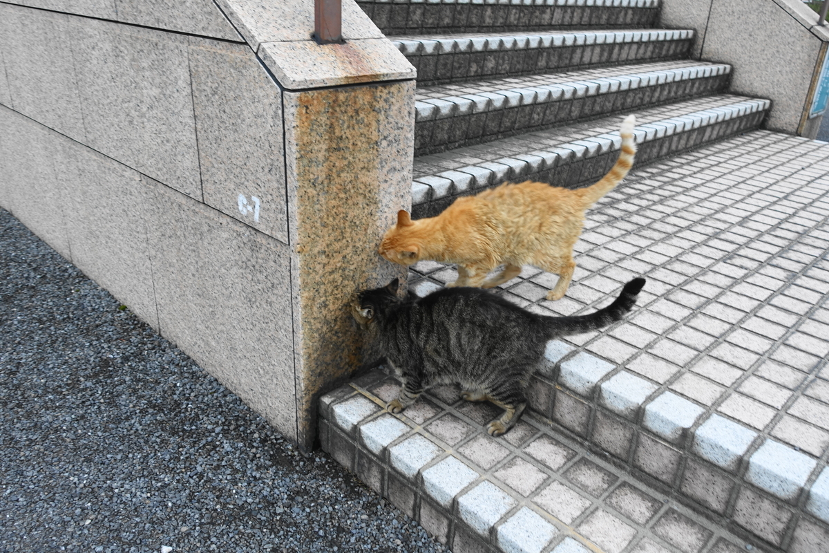 f:id:shigeo-t:20190829101406j:plain f:id:shigeo-t:20190829101406j:plain