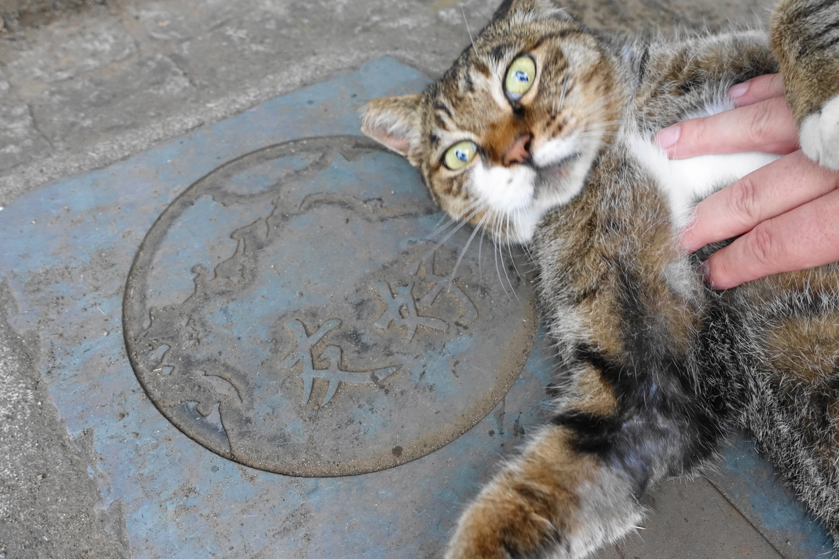 f:id:shigeo-t:20190829102028j:plain f:id:shigeo-t:20190829102028j:plain