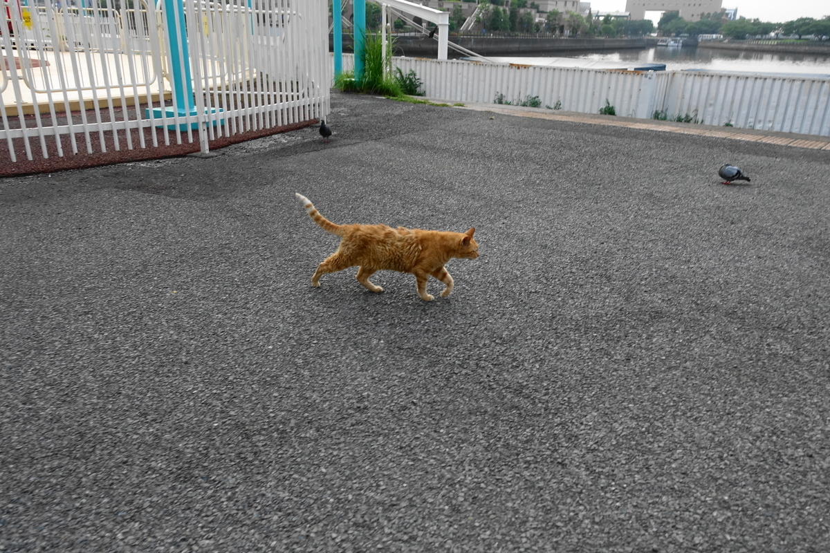 f:id:shigeo-t:20190829104046j:plain f:id:shigeo-t:20190829104046j:plain