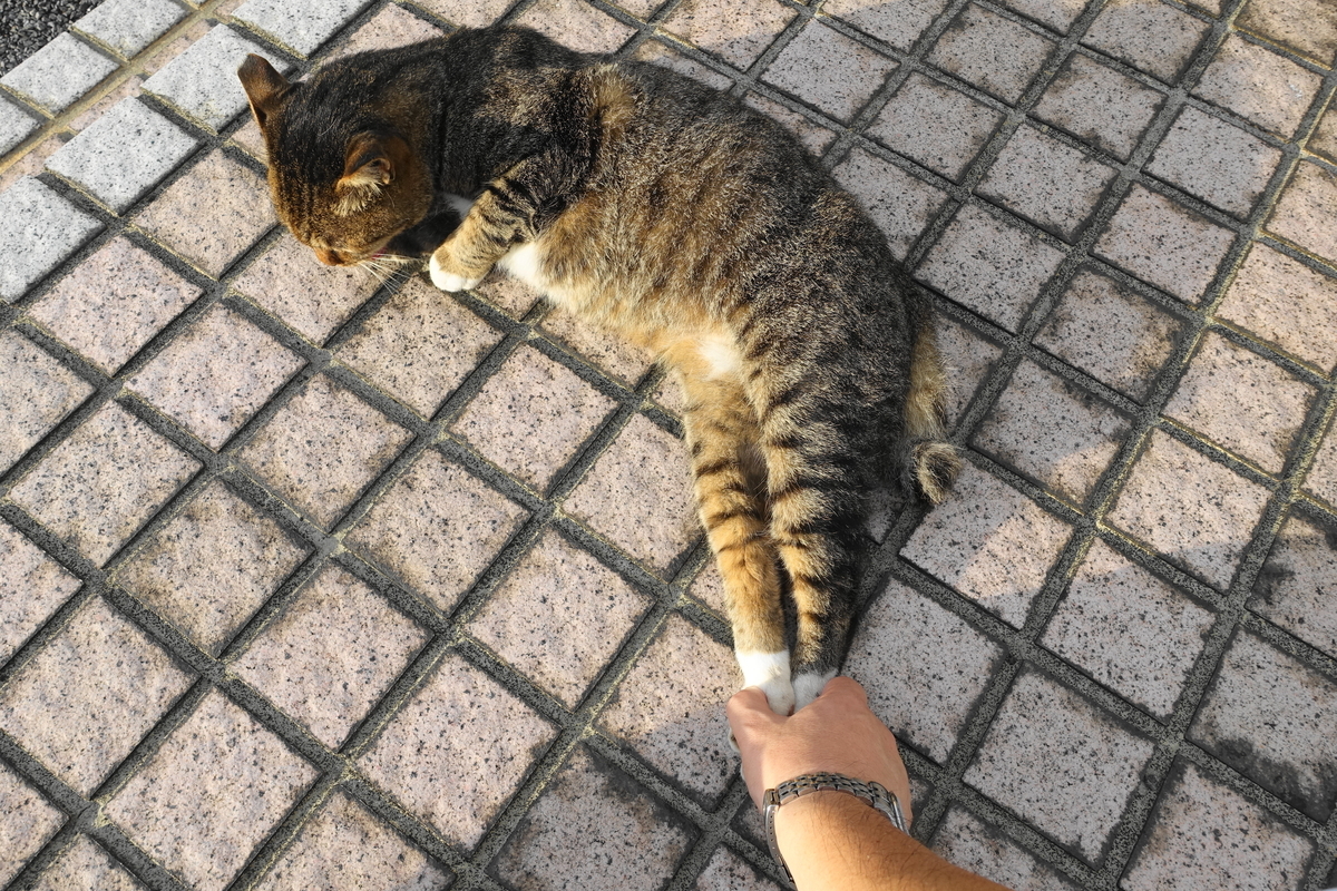 f:id:shigeo-t:20190901102048j:plain f:id:shigeo-t:20190901102048j:plain