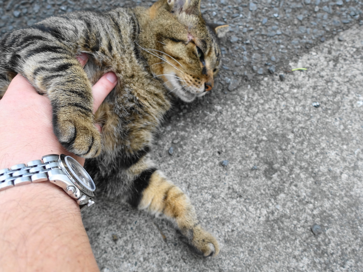 f:id:shigeo-t:20190901102905j:plain f:id:shigeo-t:20190901102905j:plain