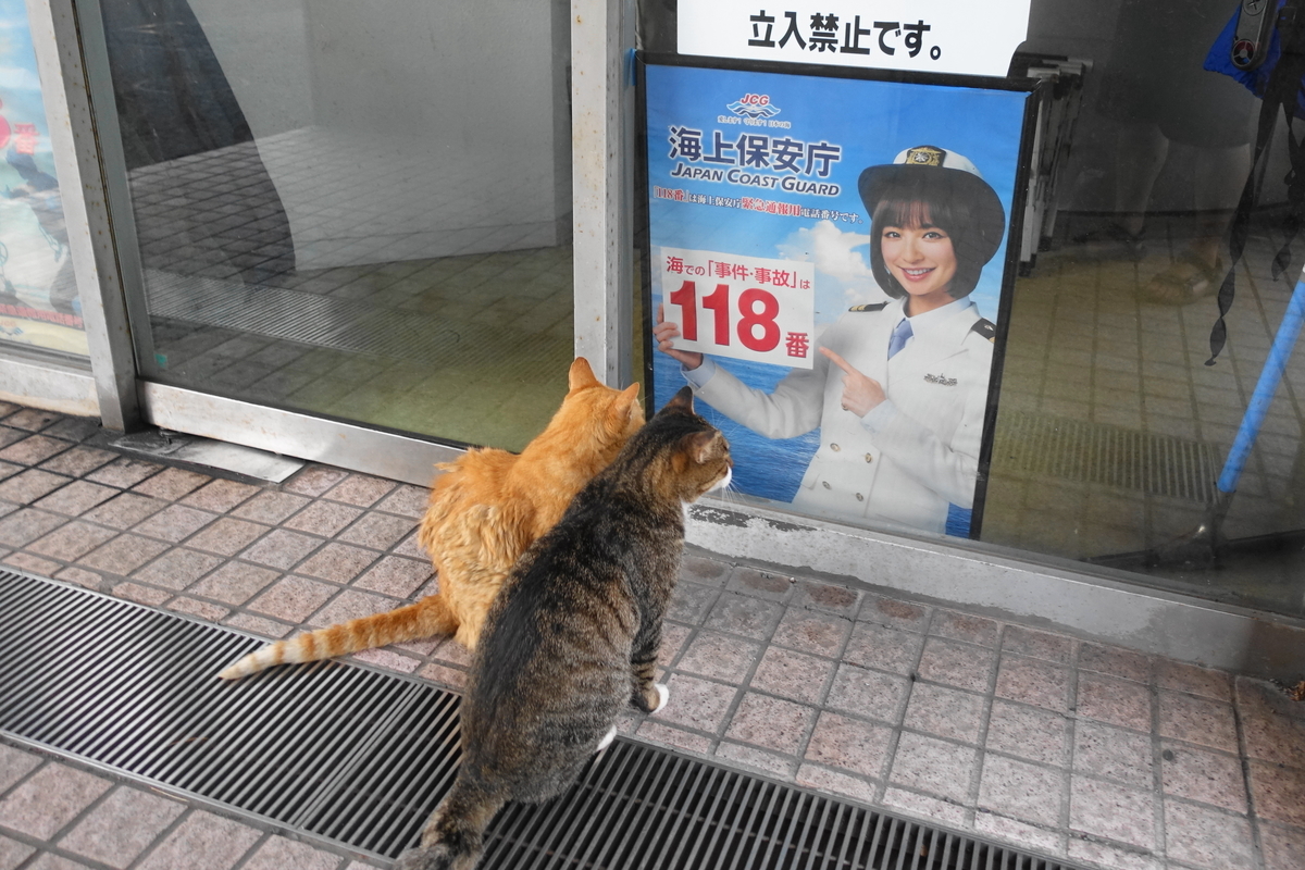 f:id:shigeo-t:20190901103512j:plain f:id:shigeo-t:20190901103512j:plain