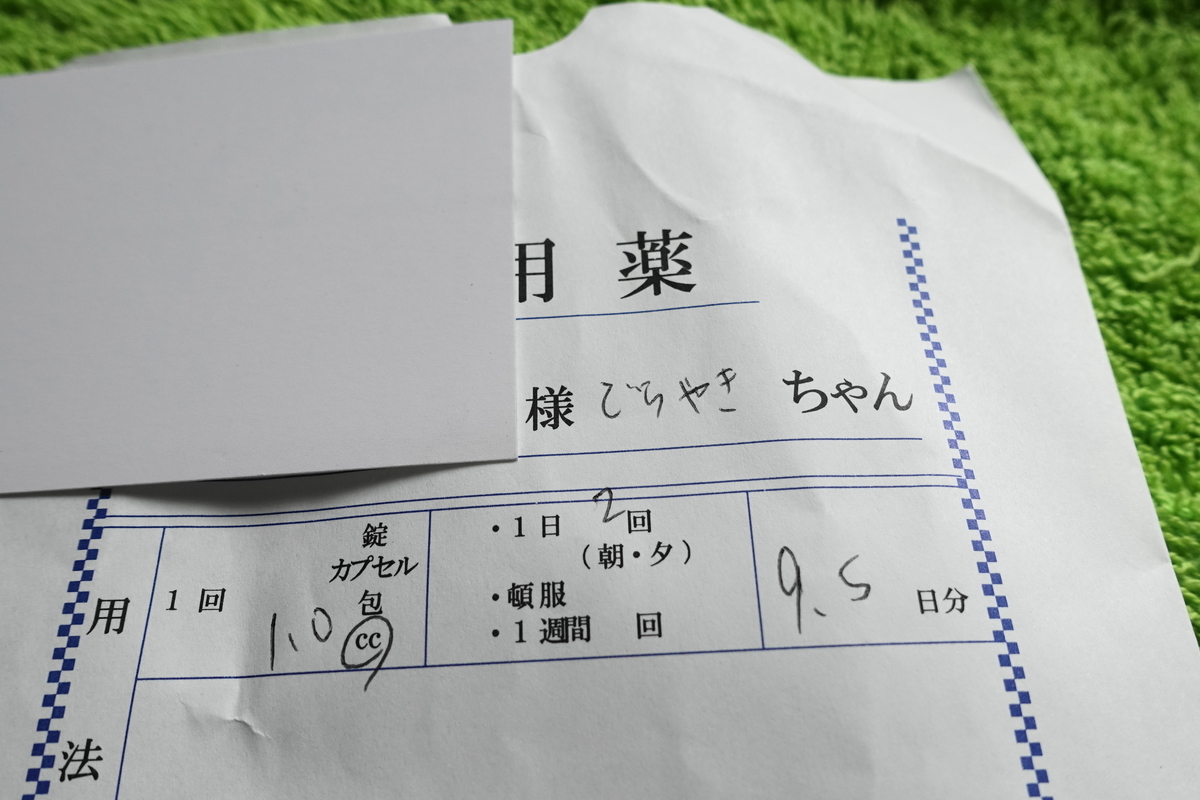 f:id:shigeo-t:20190905114521j:plain