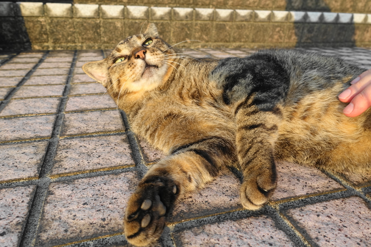f:id:shigeo-t:20190912102837j:plain