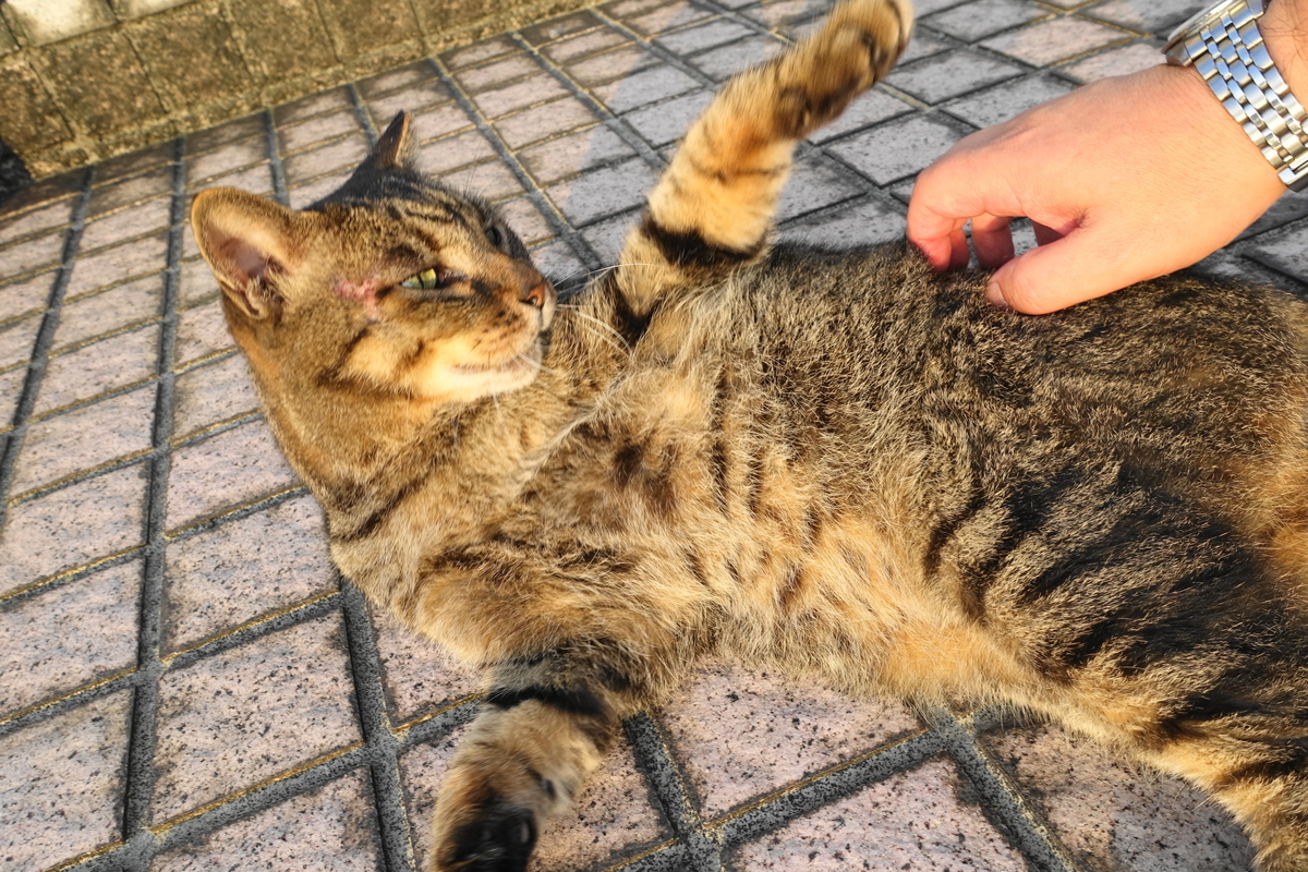 f:id:shigeo-t:20190912102911j:plain