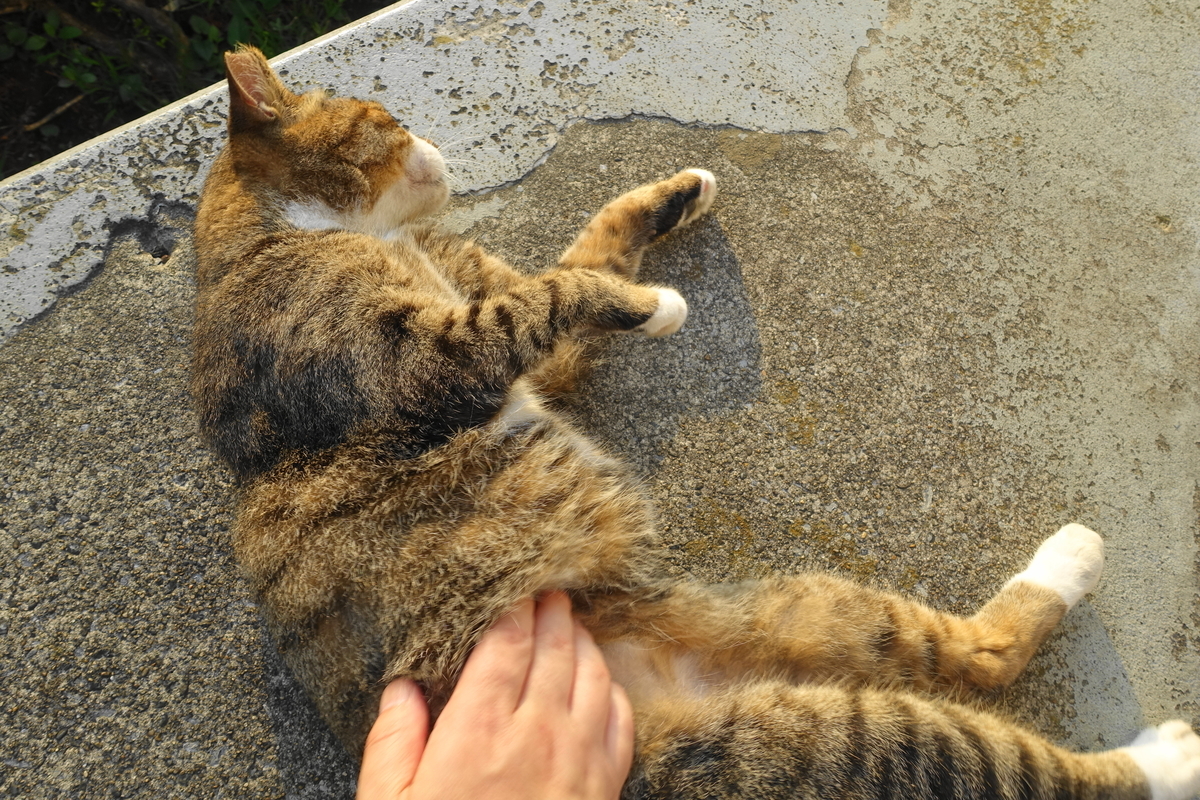 f:id:shigeo-t:20190912104014j:plain