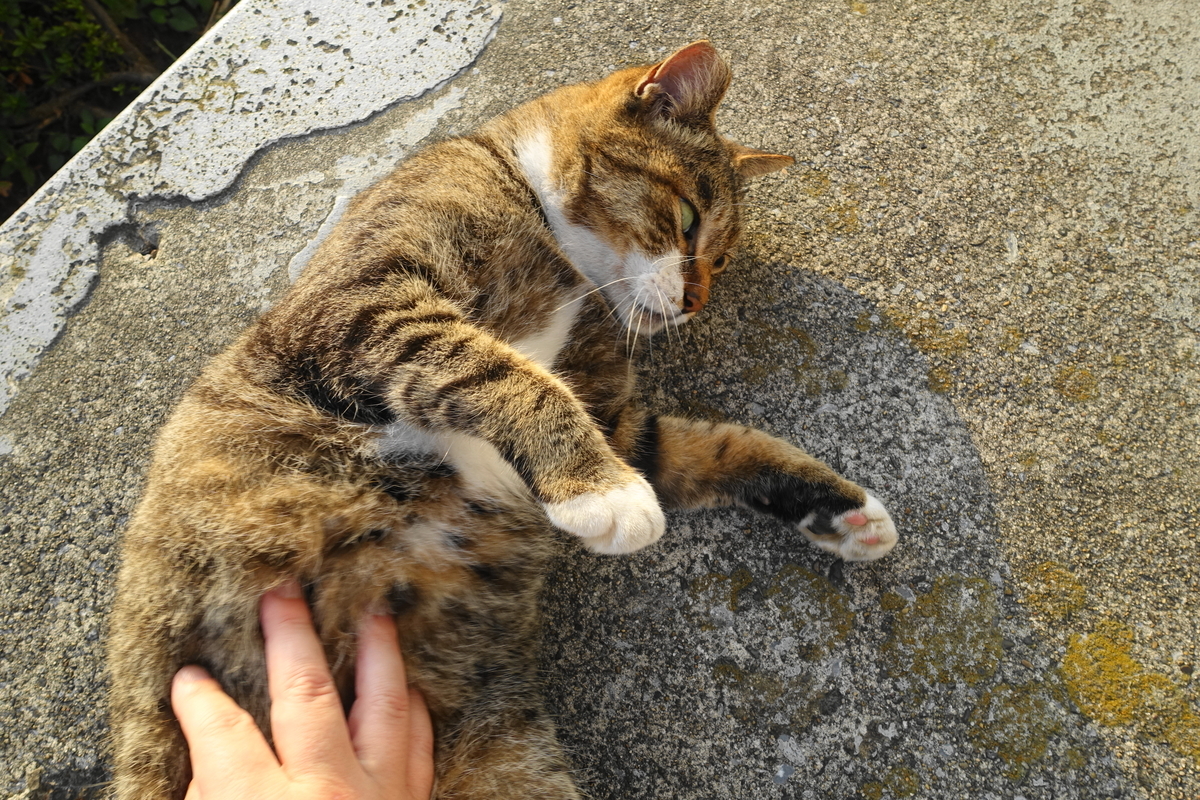f:id:shigeo-t:20190912104025j:plain
