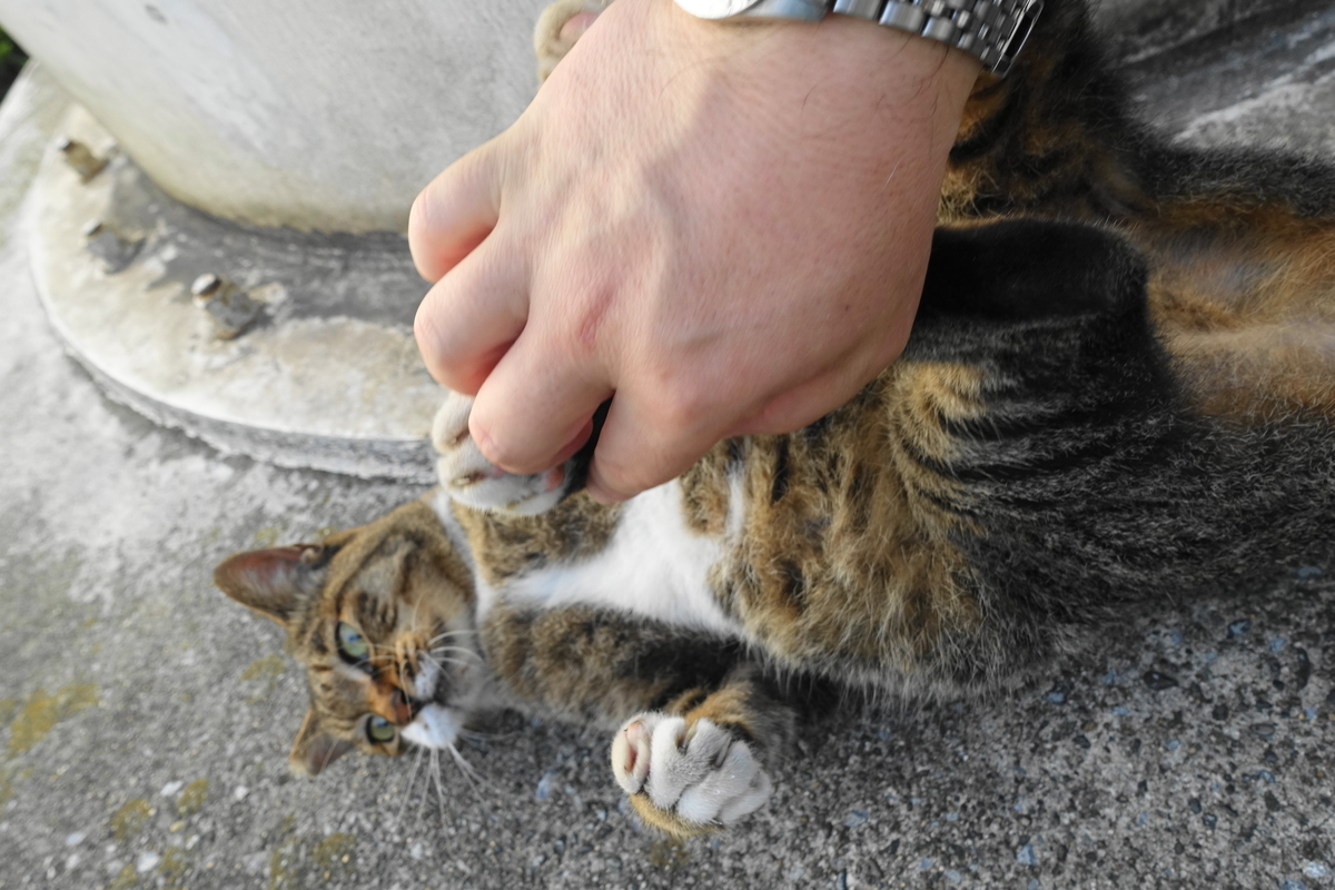 f:id:shigeo-t:20190912105202j:plain