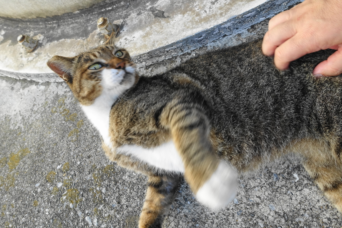 f:id:shigeo-t:20190912105221j:plain